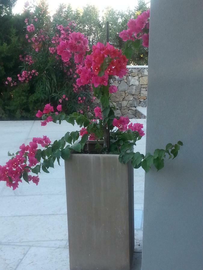 Villa Ca Del Mar Morciano di Leuca Kültér fotó