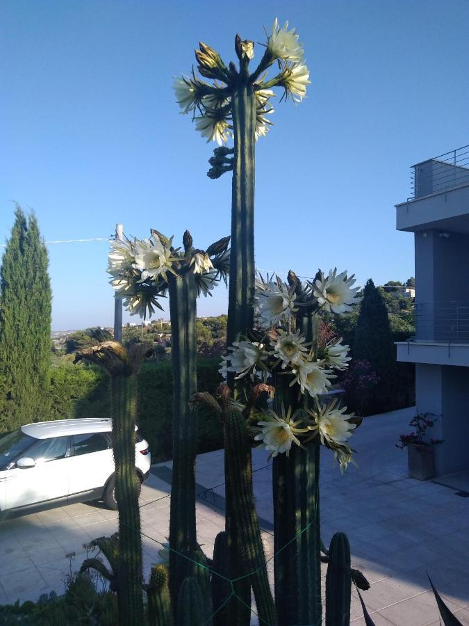 Villa Ca Del Mar Morciano di Leuca Kültér fotó